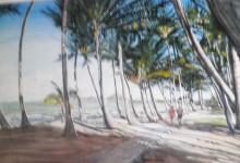stroll on Palm Cove